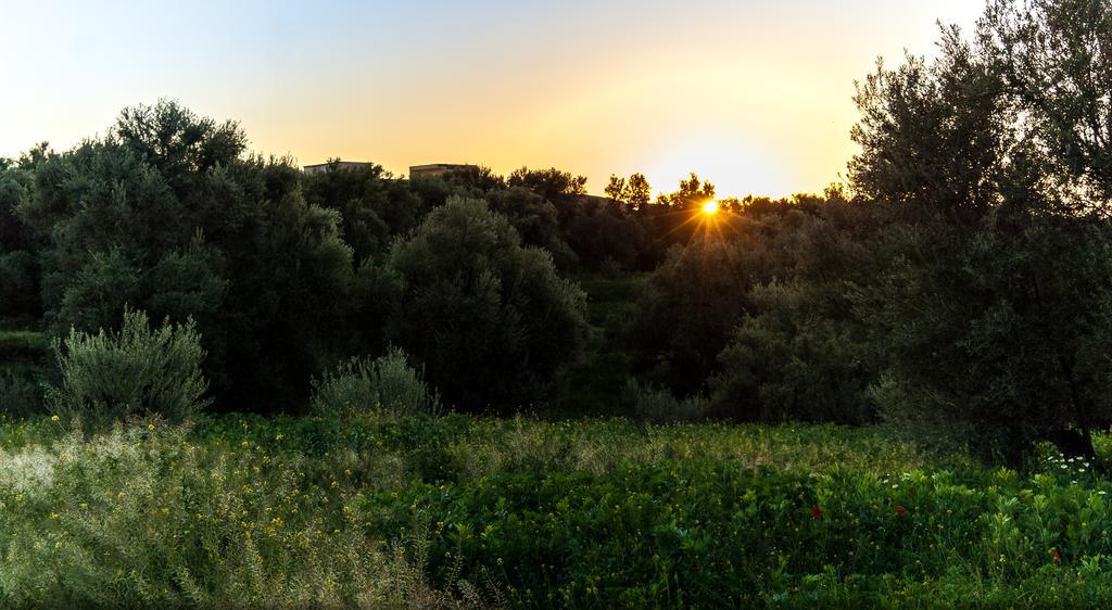 Riad Sougtani Tazrou Bagian luar foto