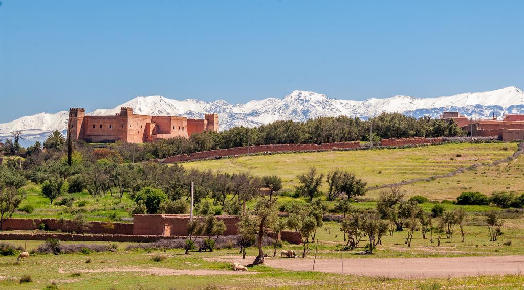 Riad Sougtani Tazrou Bagian luar foto